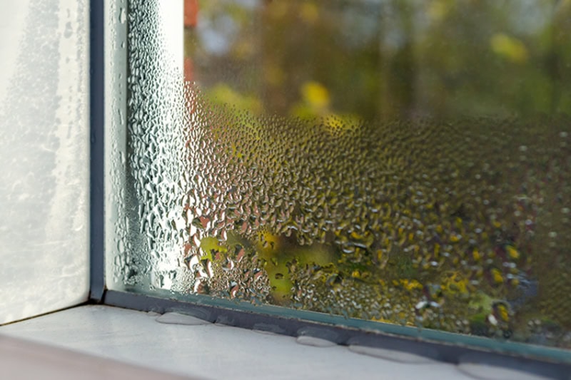 Why You Need Whole-House Humidity Control. Condensation on a window.