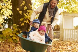 Father In Autumn Garden Gives Children Ride In Wheelbarrow.